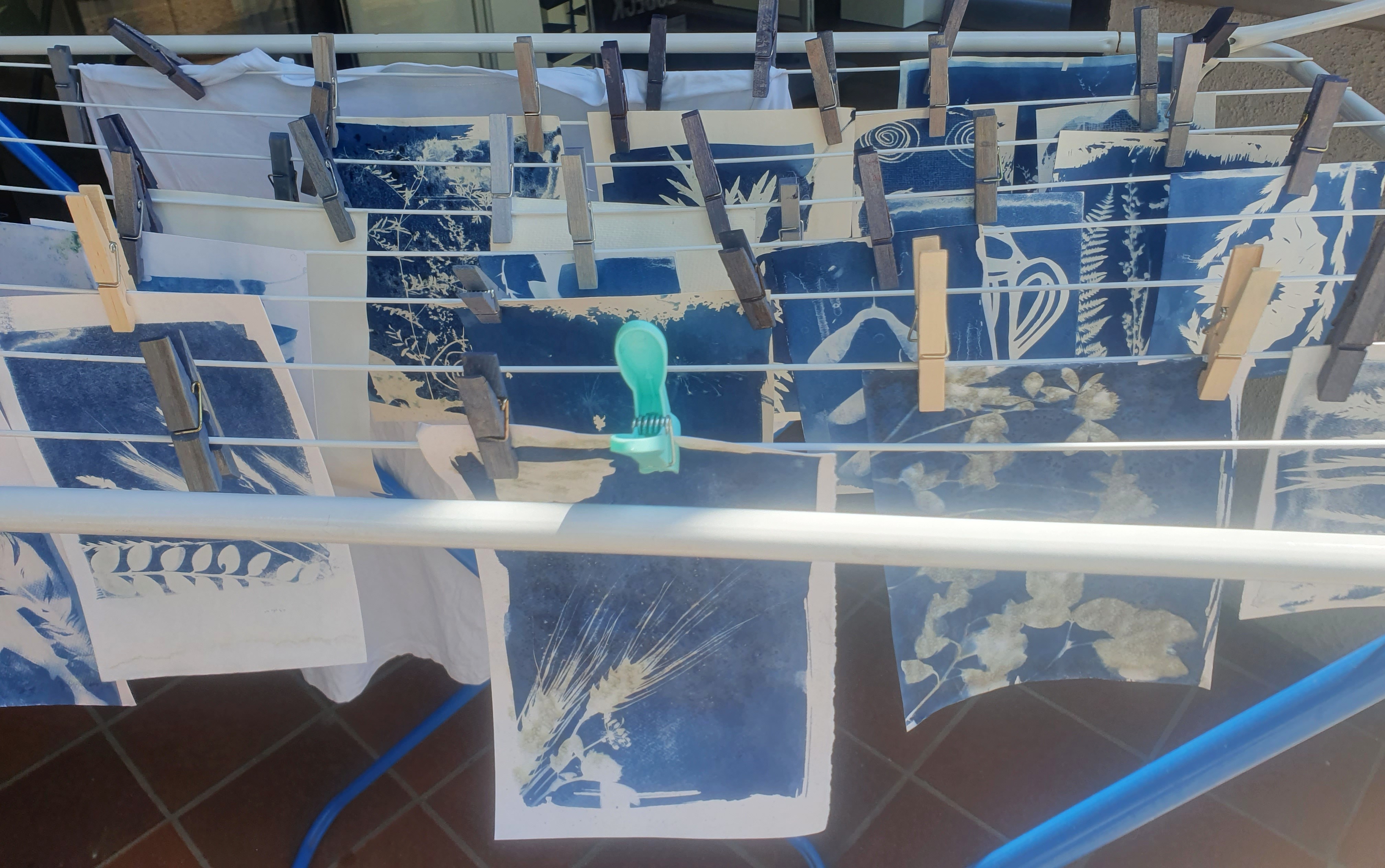 Eine Fotografie eines Wäscheständers, auf dem bedruckte Papierzettel aufgehangen sind. Alle Zettel sind mit verschiedenen Motiven aus der Natur blau bedruckt.